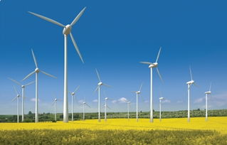 世貿(mào)通引領(lǐng)綠色能源新篇章 美國內(nèi)華達(dá)州太陽能發(fā)電項目正式發(fā)布